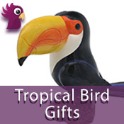  Tropical Birds 