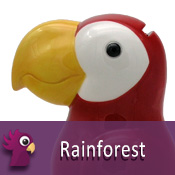  Rainforest 