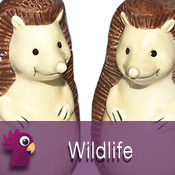  Wildlife 