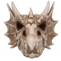  Dragon Skull Wall Plaque 20cm 