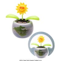  Solar Powered Solar Buddies - Solar Buddy - Isle Of Wight Sunflower 