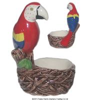  Ceramic Macaw Parrot Egg Cup 