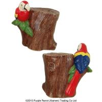  Ceramic Macaw Money Box 