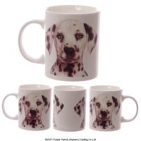  Dalmatian Bone China Mug 