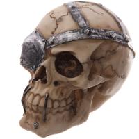  Pirate Skull Decoration 