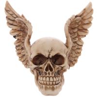 Skull with Angel Wings 