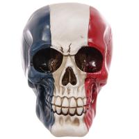  French Flag Skull 