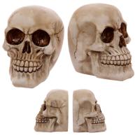  Skull Bookends (Pair) 