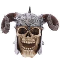  Skull Decoration with Twisted Horn Viking Helmet 
