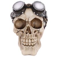  Steam Punk Style Skull Decoration with Goggles 